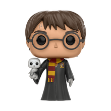 Funko Pop! Harry Potter - Harry Potter with Hedwig #31 (Pop Protector Included)